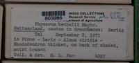 Image Associated With the Occurence